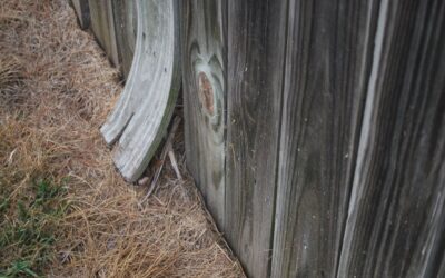 Why is My Wood Fence Warped? (And How Can I Prevent it?)