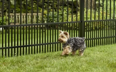 How to Modify Your Fence to Keep a Small Dog Safe